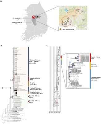 Re-emergence of foot-and-mouth disease in the Republic of Korea caused by the O/ME-SA/Ind-2001e lineage